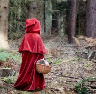 Красная Шапочка (аудиоспектакль) - 