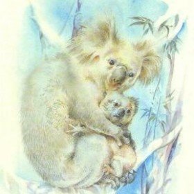 Про коалу Ушастика - 