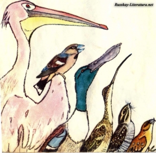 Чей нос лучше? - 